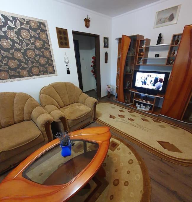Tecuci Sweet Home & Liliana מראה חיצוני תמונה
